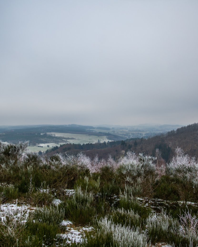 Winterlandschap in de Ardennen met lichte sneeuw en uitzicht over de heuvels.