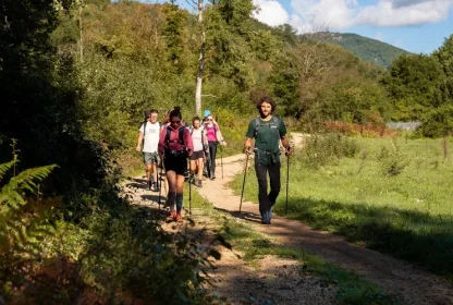 Reisgenoten wandelen in de zon over het pad tussen het groen.