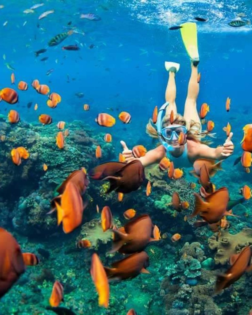 Reisgenoot snorkelt tussen kleurrijke tropische vissen boven een koraalrif.