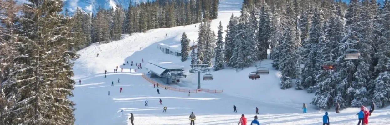 Wintersporters skiën over een brede piste met besneeuwde bergen en dennenbossen op de achtergrond.