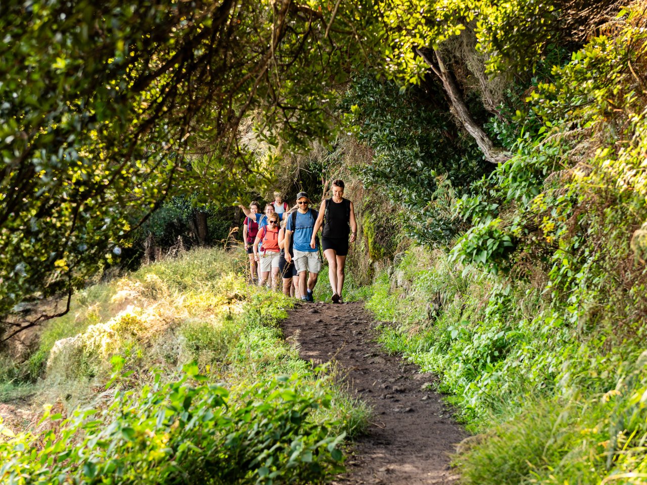 Reisgenoten wandelen over het pad door het groen.