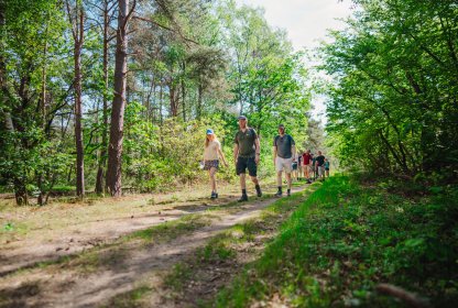 Groep reisgenoten wandelt samen over een bospad door een groene omgeving.