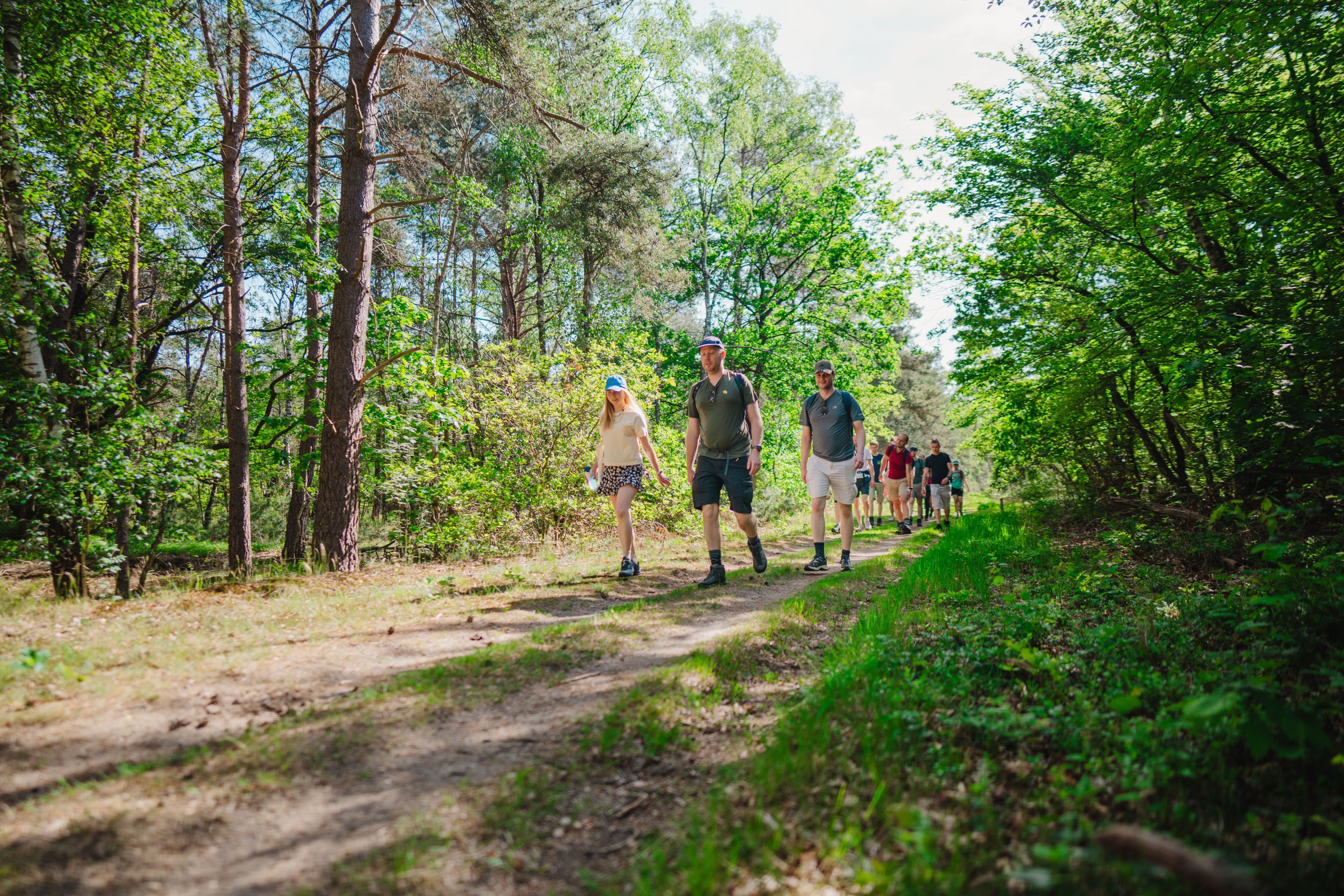Groep reisgenoten wandelt samen over een bospad door een groene omgeving.