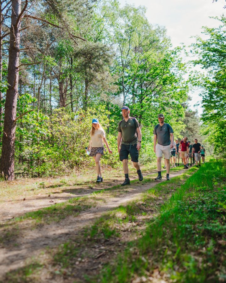 Groep reisgenoten wandelt samen over een bospad door een groene omgeving.