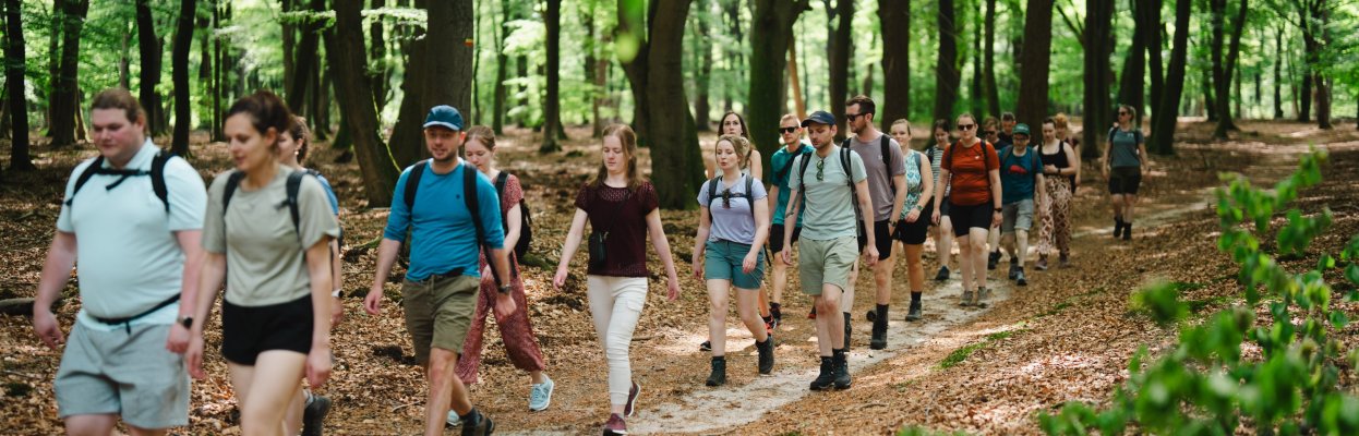 Reisgenoten wandelen buiten in het bos.