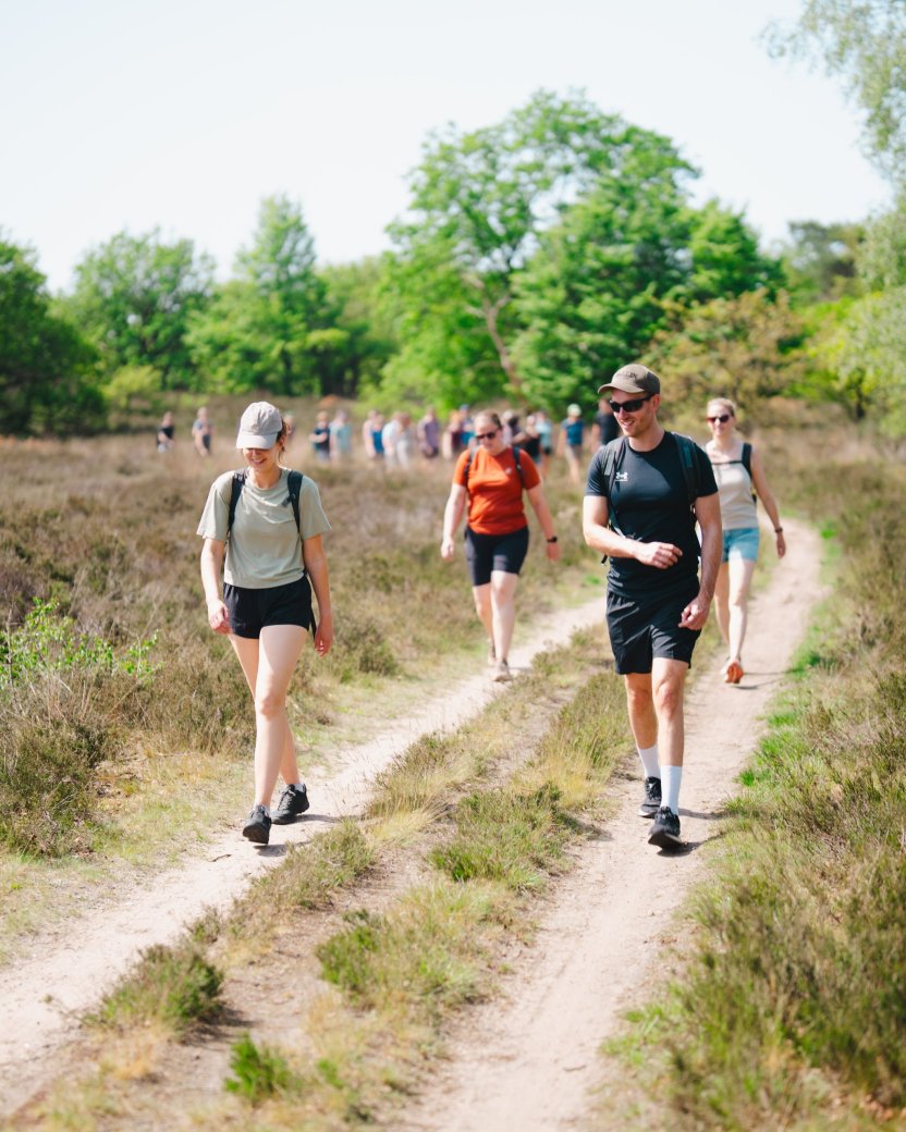 Groep reisgenoten wandelt samen over een zonnig pad door de natuur.