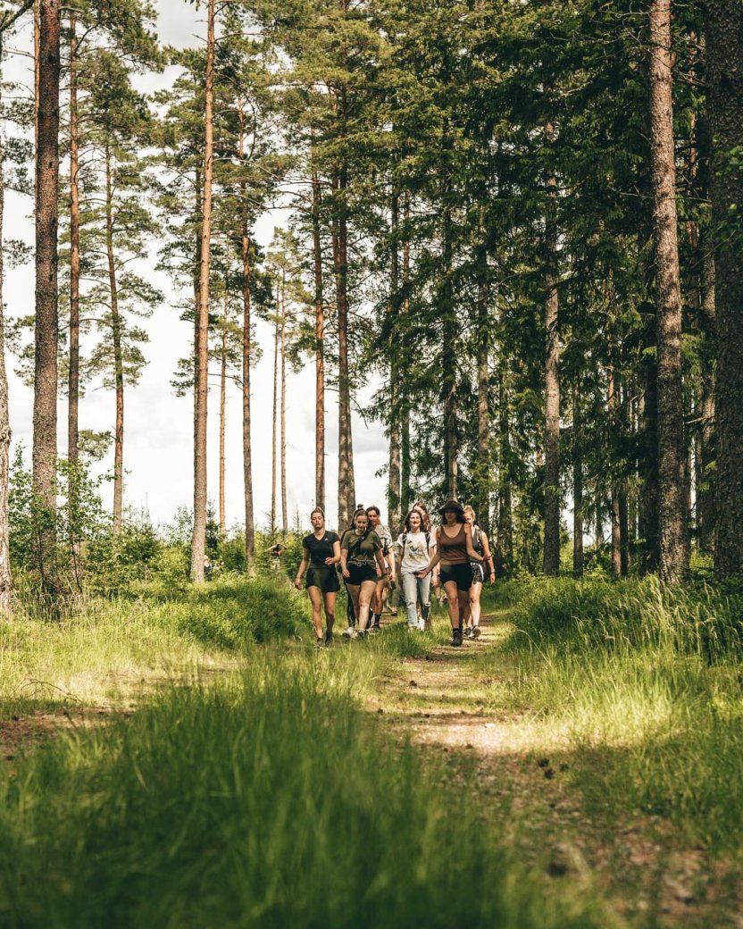 Groep reisgenoten wandelt samen over een pad door het groene bos.