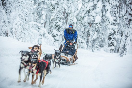 Reisgenoten op de slee tijdens de husky-safari in de sneeuw.
