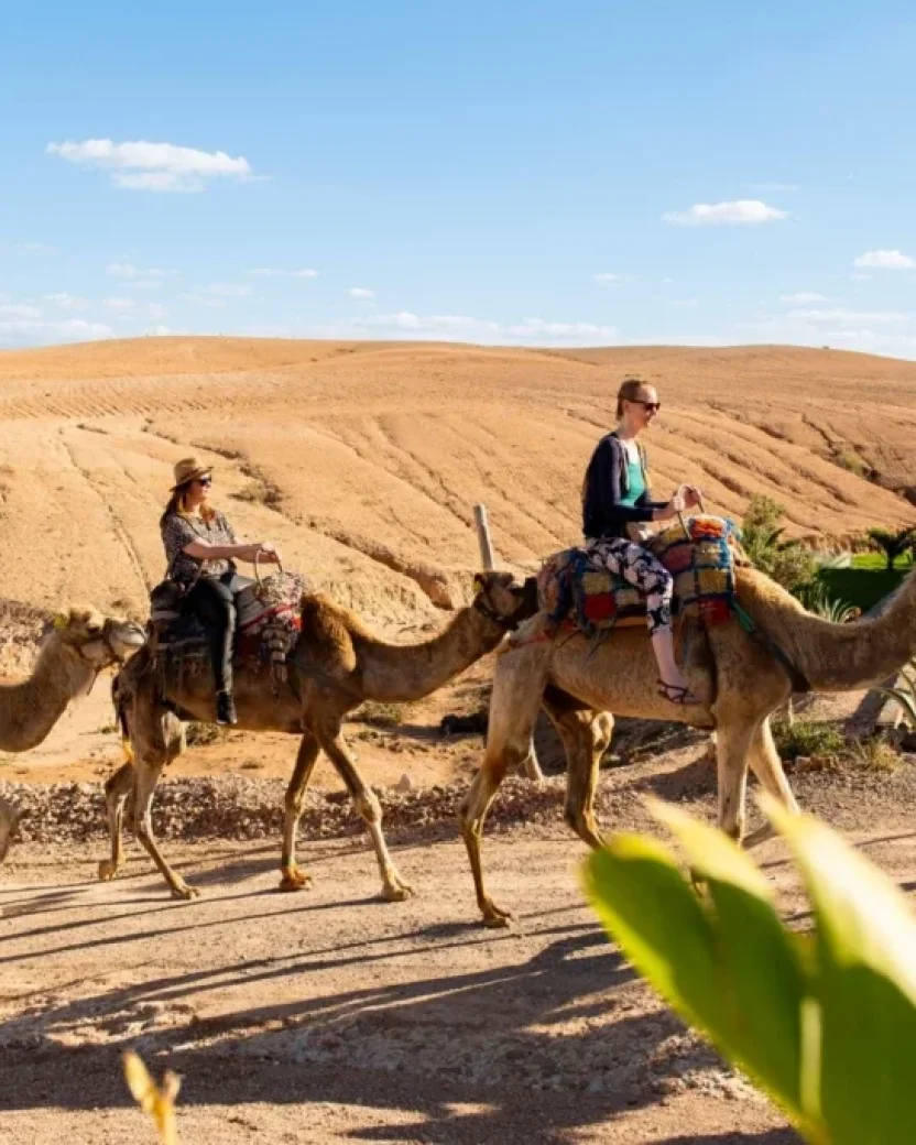 Reisgenoten reizen rond op kamelen door het woestijn landschap.