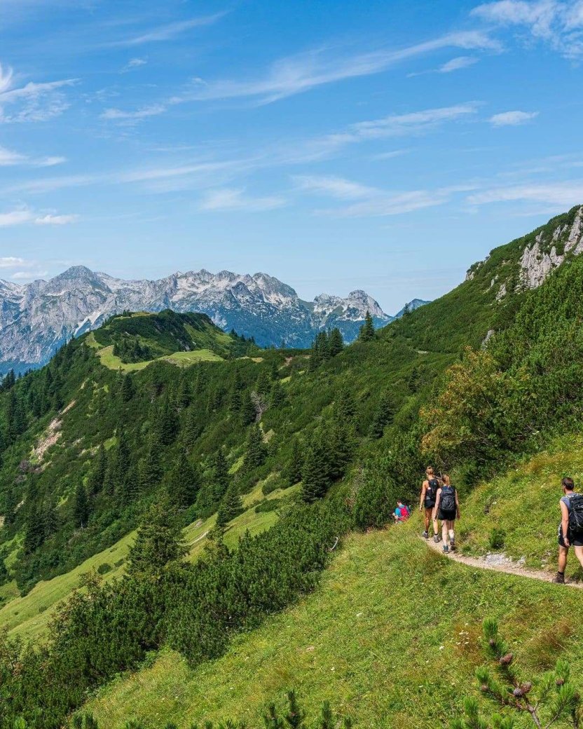 Reisgenoten wandelen door het groene landschap.