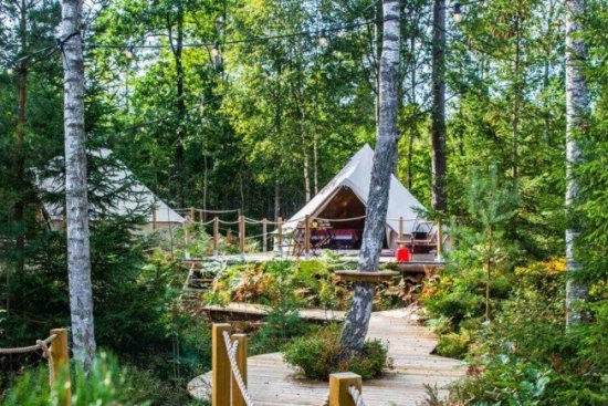 Glamping tenten midden in het bos in Zweden.