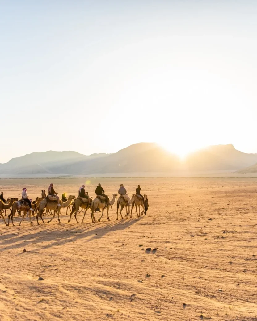 Reisgenoten rijden op kamelen in de woestijn in Jordanië.