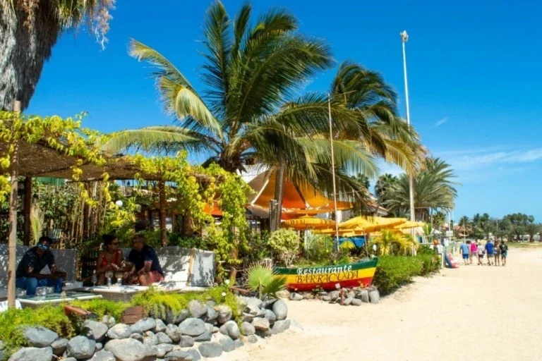 Bestemming Kaapverdië met strand en palmbomen.